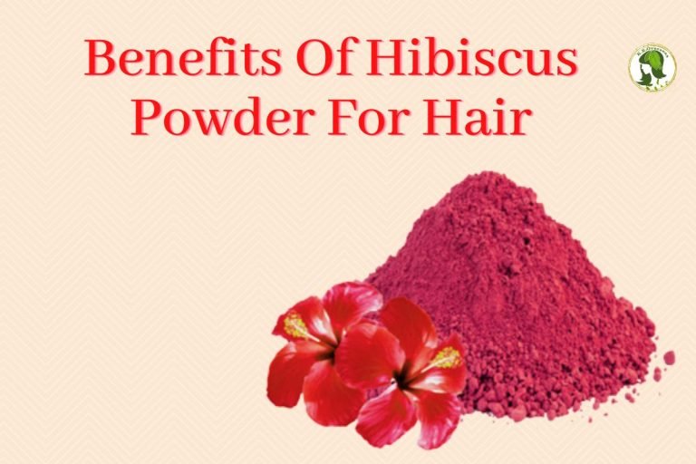 Benefits of Hibiscus Powder For Hair Kirpal Export Overseas