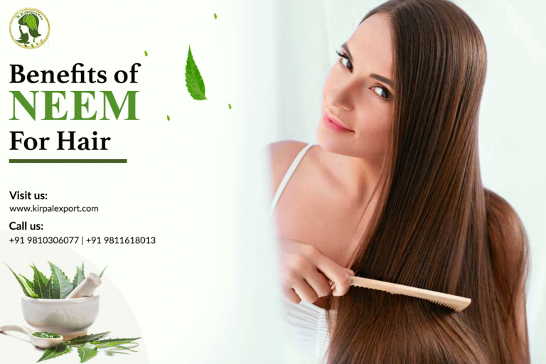 5-wonderful-benefits-of-neem-for-hair-kirpal-export-overseas