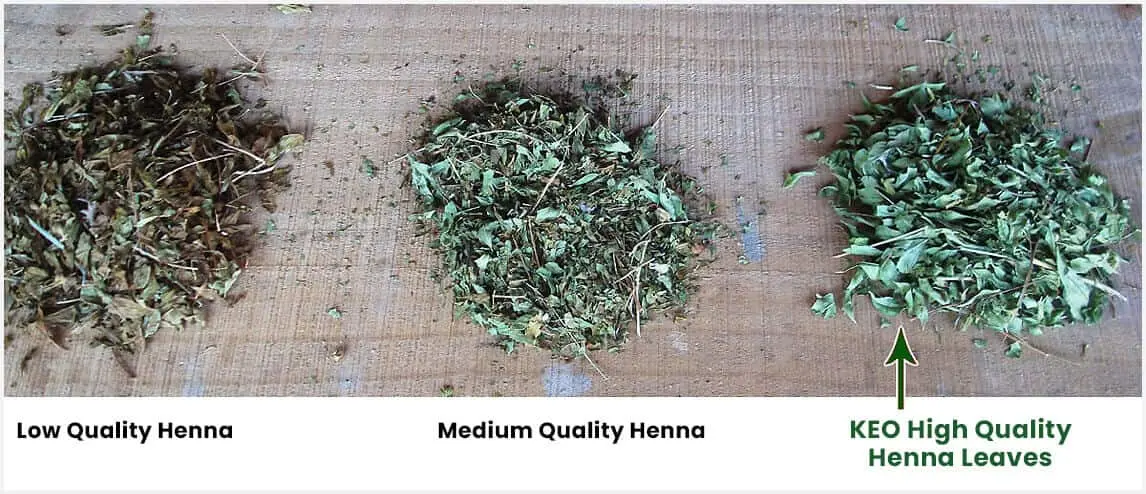 High Quality Henna Leaves