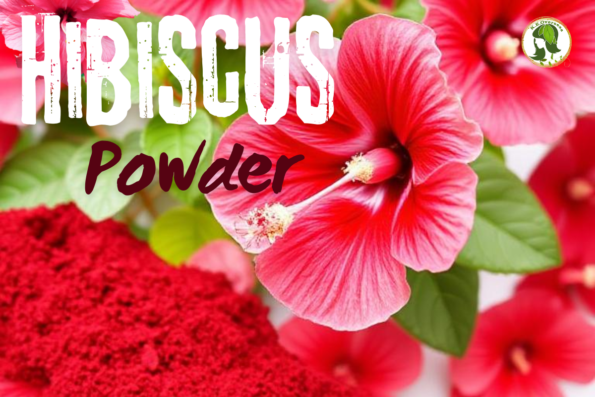 hibiscus powder for hair