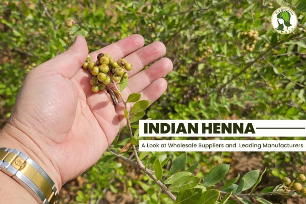 henna hair dye manufacturers ,exporter ,suppler