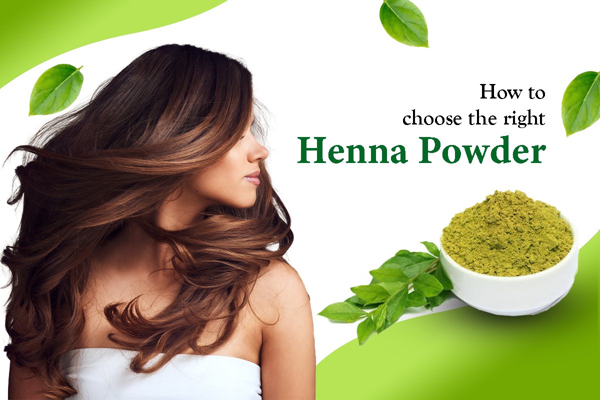 Sojat henna powder