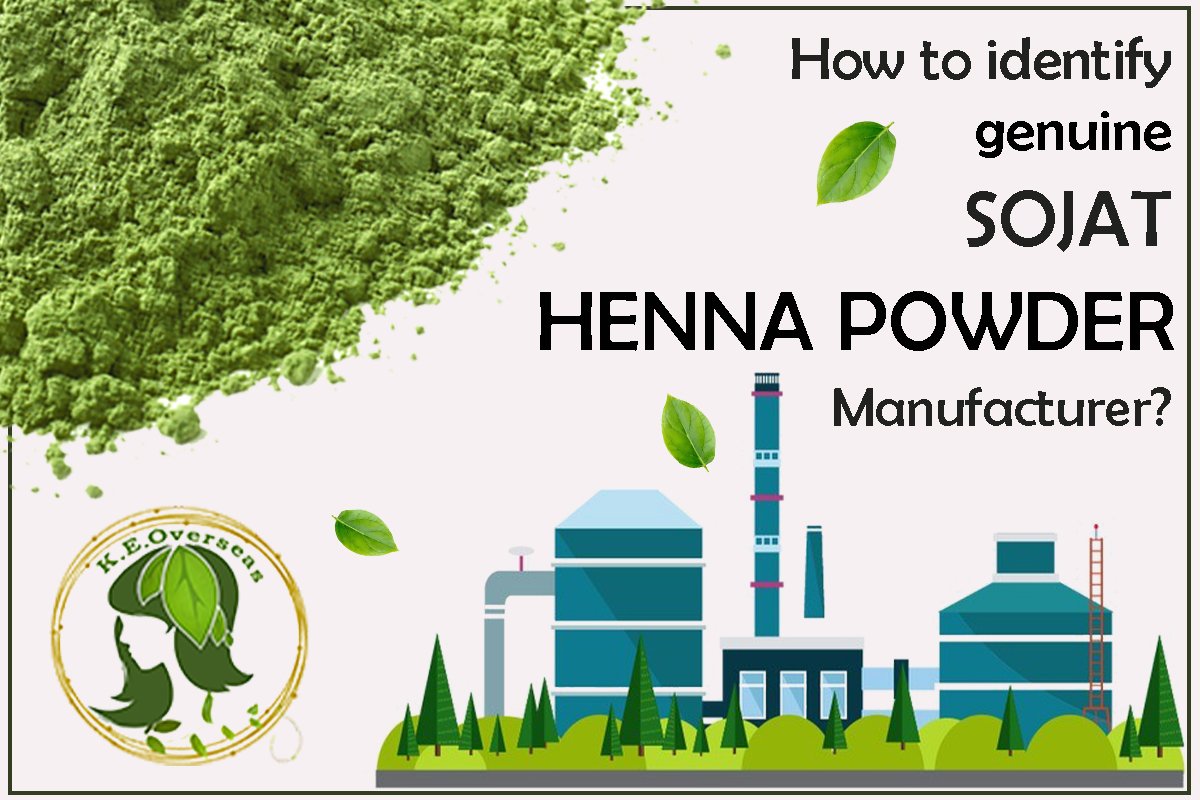 Sojat henna powder manufacturer
