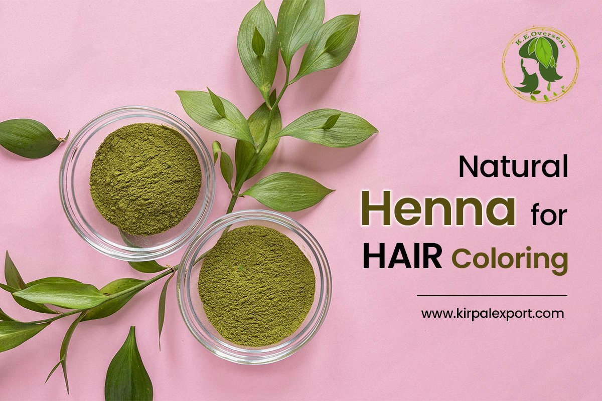 Natural hair coloring henna from Rajasthan