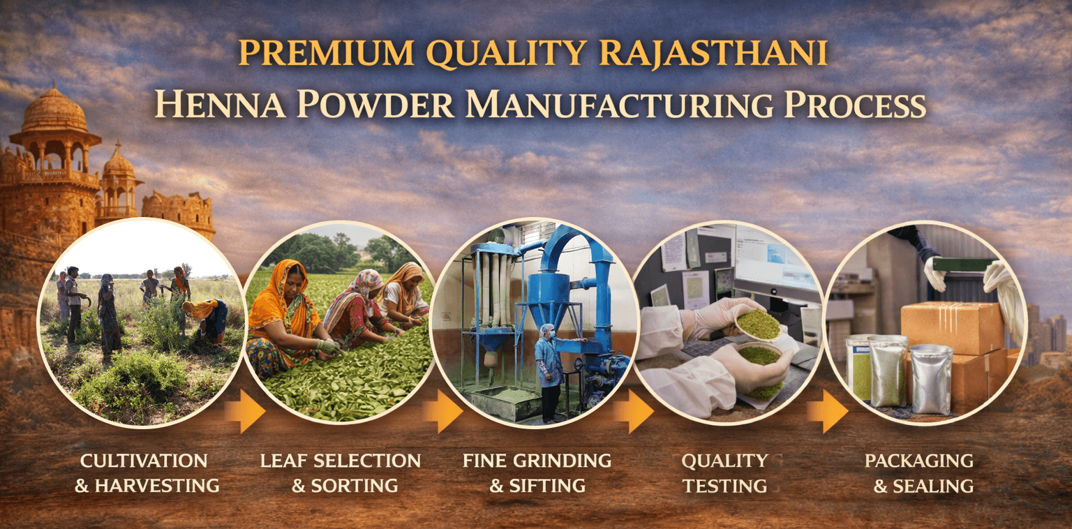 Premium Quality Rajasthani Henna Powder Manufacturing Process India